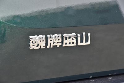 2023款 四驱超长续航版-外观-图片-有驾
