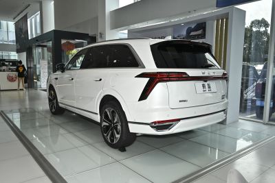 2023款 四驱超长续航版-外观-图片-有驾