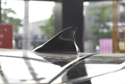 2024款 挚爱版 301km Lite-外观-图片-有驾