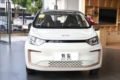 2024款 挚爱版 301km Lite-外观-图片-有驾