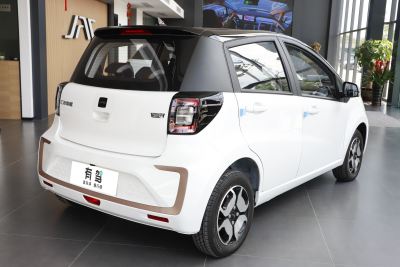 2024款 挚爱版 301km Lite-外观-图片-有驾