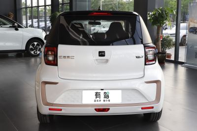 2024款 挚爱版 301km Lite-外观-图片-有驾