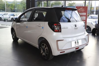 2024款 挚爱版 301km Lite-外观-图片-有驾