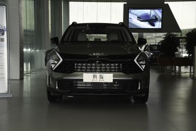 2023款 2.0L HEV 两驱旗舰版-外观-图片-有驾