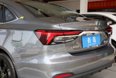 2020款 300TGI 自动爽酷天幕智驾Supreme版-外观-图片-有驾