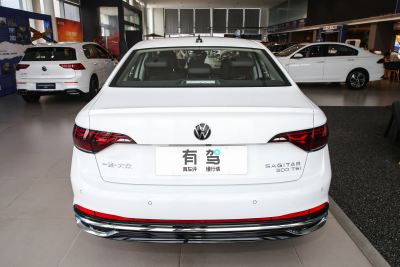 2025款 300TSI DSG超越版-外观-图片-有驾
