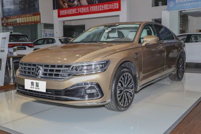 2021款 380TSI 豪华版-外观-图片-有驾