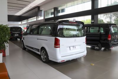 2020款 MS500L-外观-图片-有驾