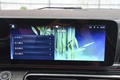 2024款 V 300 L 长轴距尊贵版-内饰-图片-有驾