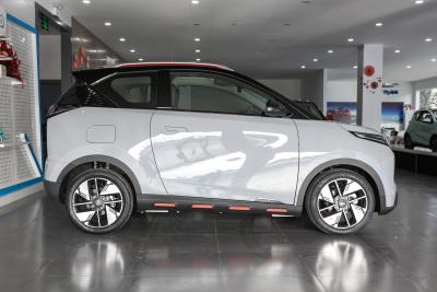 2022款 408km 神兽版 三元锂-外观-图片-有驾