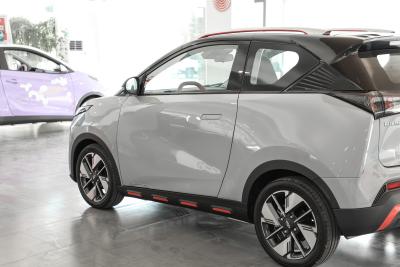 2022款 408km 神兽版 三元锂-外观-图片-有驾