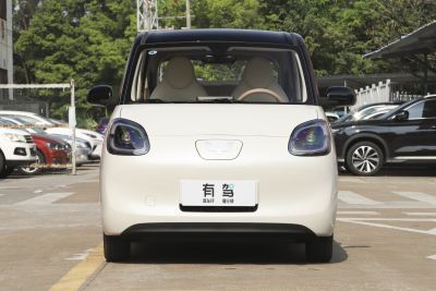 2025款 四门版 301km 臻享+款-外观-图片-有驾