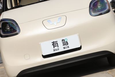 2025款 四门版 301km 臻享+款-外观-图片-有驾