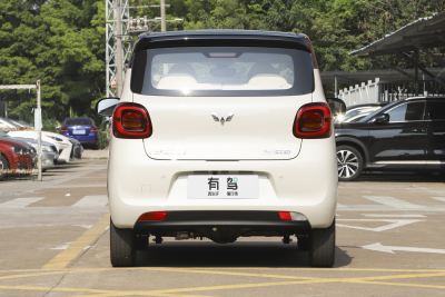 2025款 四门版 301km 臻享+款-外观-图片-有驾