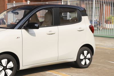 2025款 四门版 301km 臻享+款-外观-图片-有驾