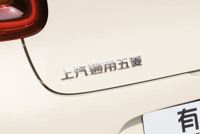 2025款 四门版 301km 臻享+款-外观-图片-有驾