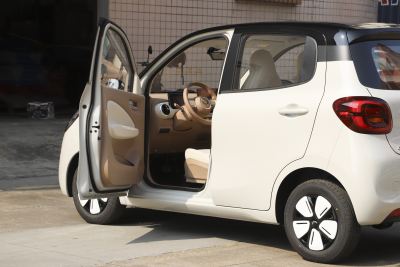 2025款 四门版 301km 臻享+款-外观-图片-有驾