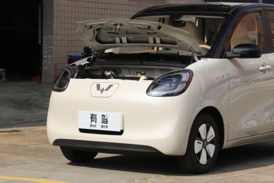 2025款 四门版 301km 臻享+款-外观-图片-有驾