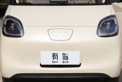 2025款 四门版 301km 臻享+款-外观-图片-有驾