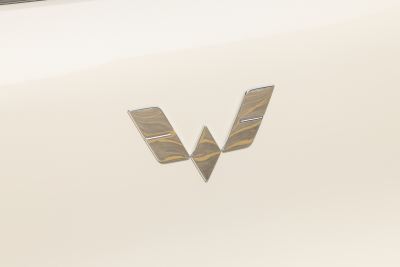 2025款 四门版 301km 臻享+款-外观-图片-有驾