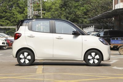 2025款 四门版 301km 臻享+款-外观-图片-有驾