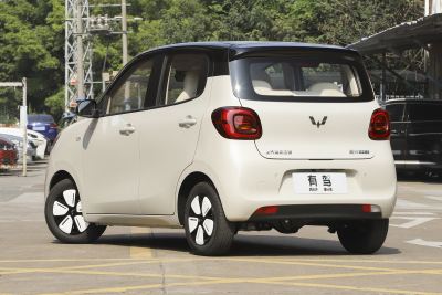 2025款 四门版 301km 臻享+款-外观-图片-有驾