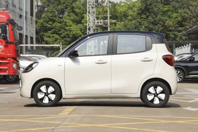 2025款 四门版 301km 臻享+款-外观-图片-有驾