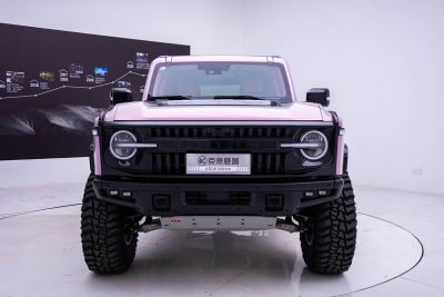 2025款 2.3T 怪兽SV7 37性能版-外观-图片-有驾
