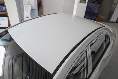 2019款 EV500 进取型标准续航版-外观-图片-有驾