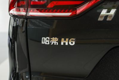 2025款 1.5T 国潮都市版-外观-图片-有驾