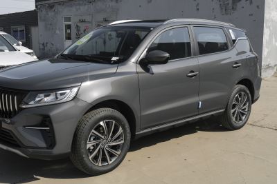 2021款 PRO 1.4T 自动尊贵型-外观-图片-有驾