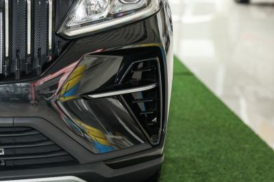 2021款 PRO 1.4T 自动尊贵型-外观-图片-有驾