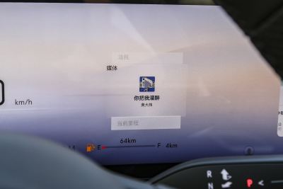 2025款 白金艾维亚版-内饰-图片-有驾
