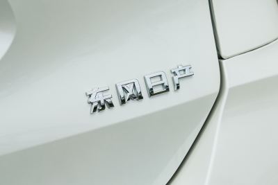 2025款 荣誉 2.0L 两驱真心版-外观-图片-有驾