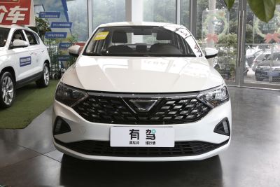 2024款 1.5L 手动进取版-外观-图片-有驾