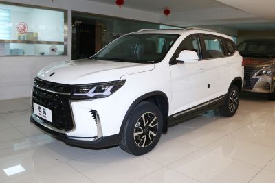 2024款 盛世款 1.6L CVT追梦版 五座-外观-图片-有驾