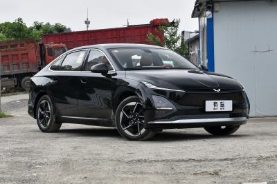 2025款 610km 智能进阶型-外观-图片-有驾