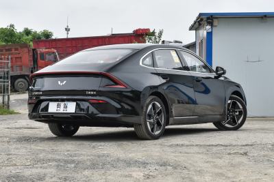 2025款 610km 智能进阶型-外观-图片-有驾