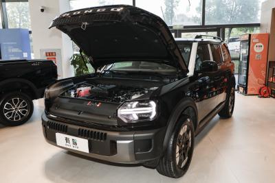 2026款 墨钻增程版-外观-图片-有驾