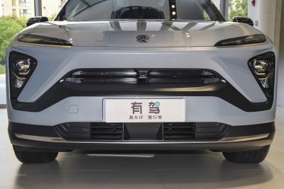 2022款 100kWh 签名版-外观-图片-有驾