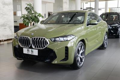 BMW X6 Экстерьер 1