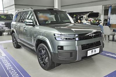 2025款 190KM四驱Ultra版-外观-图片-有驾