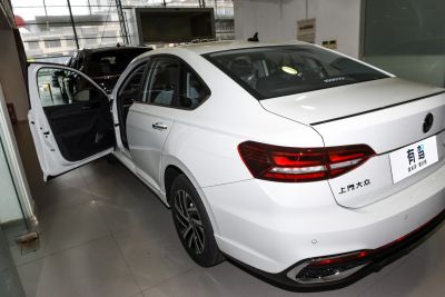 2026款 300TSI DSG星空领先版-外观-图片-有驾