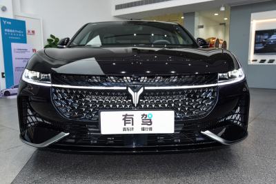 2024款 PHEV 四驱超长续航旗舰版-外观-图片-有驾