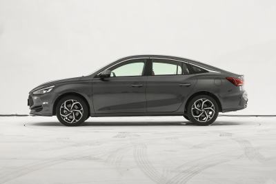 2026款 300DVVT 全球旗舰MAX版-外观-图片-有驾