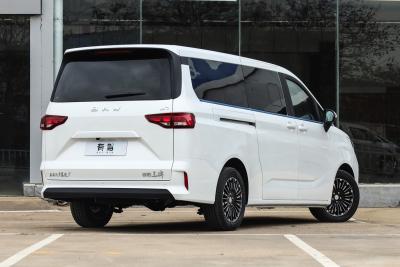 2026款 2.0L 自动长轴旗舰型 7座-外观-图片-有驾