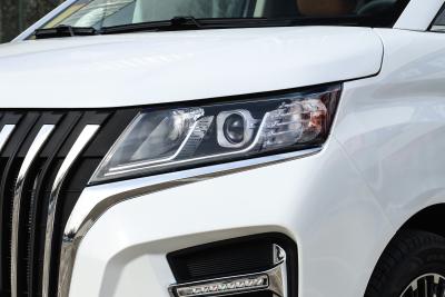 2026款 2.0L 自动长轴旗舰型 7座-外观-图片-有驾