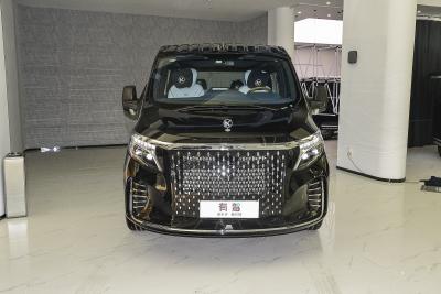 2023款 2.0T 帝亚MH1-外观-图片-有驾