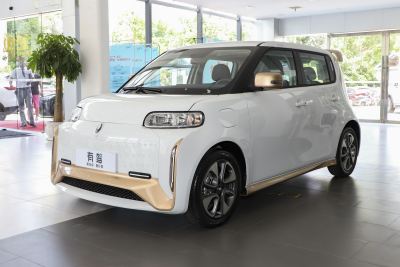 2022款 小野猫版 360km 豪华型 三元锂-外观-图片-有驾
