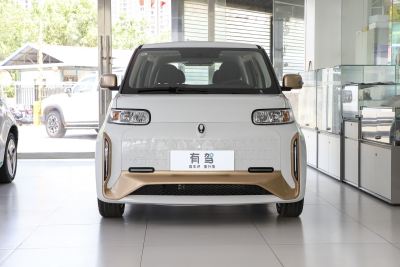 2022款 小野猫版 360km 豪华型 三元锂-外观-图片-有驾